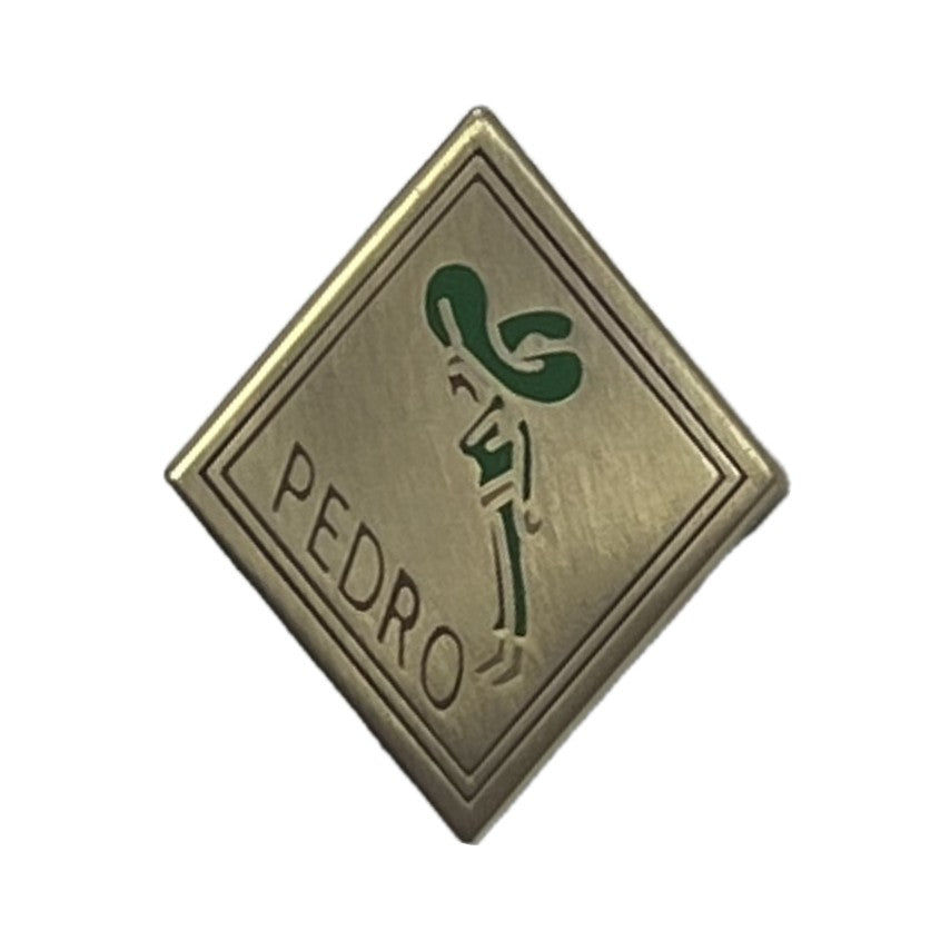 CSAR LAPEL PINS